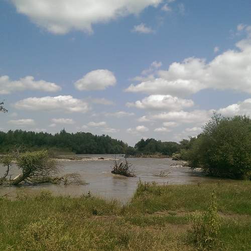 Photo #9994517