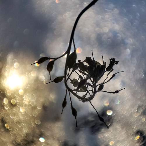 Photo #9995088
