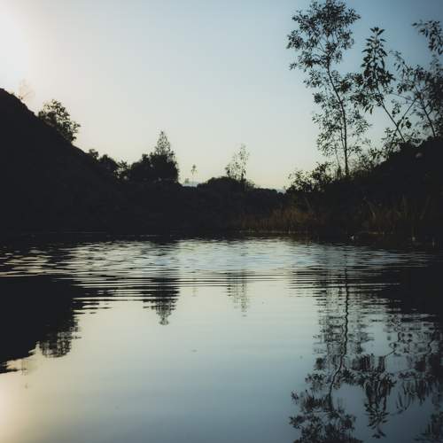 Photo #9995193