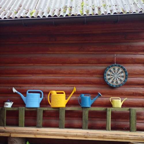 Photo #9995829