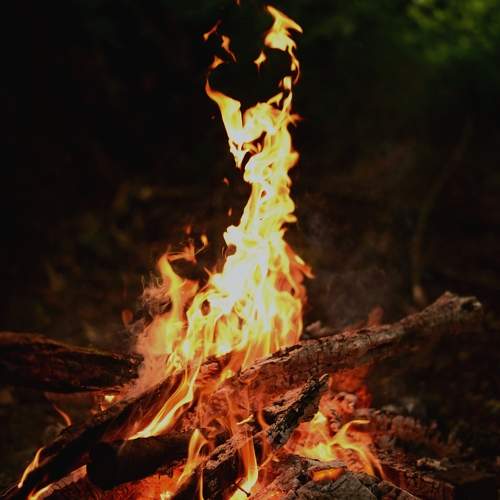 Photo #9995836
