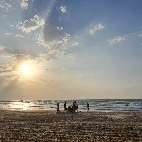 Photo #9995980