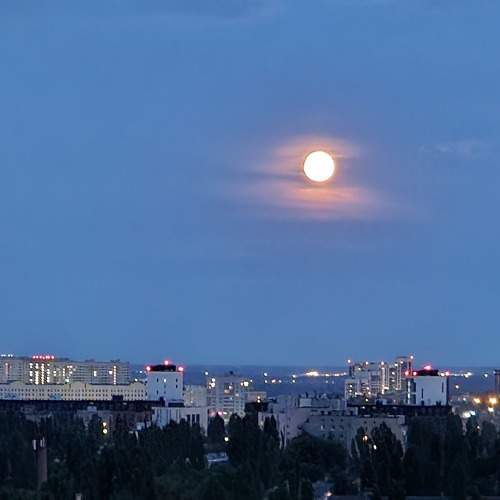 Photo #9996132