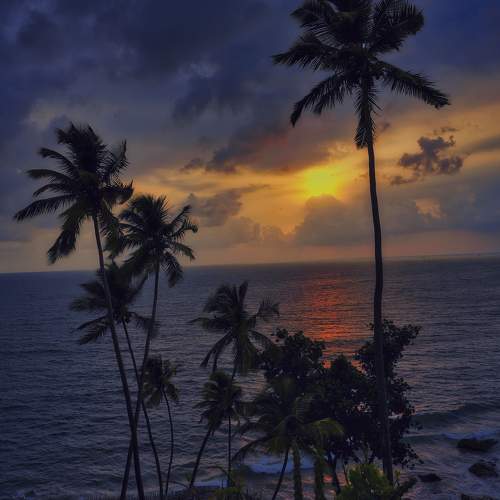 Photo #9996135