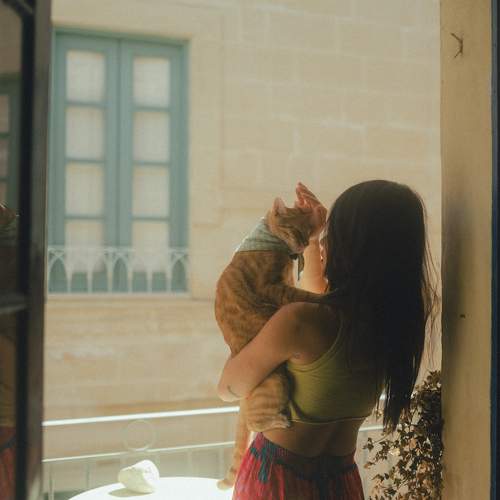 Photo #9996297