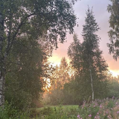 Photo #9996547