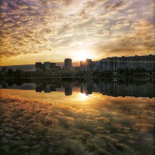 Photo #9996775