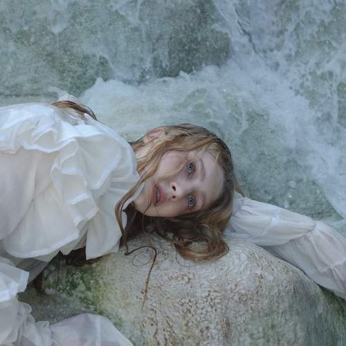 Photo #9996956