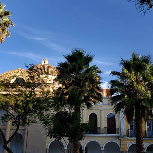 Photo #9997130