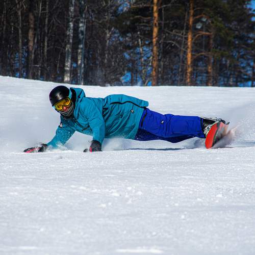Photo #9997163