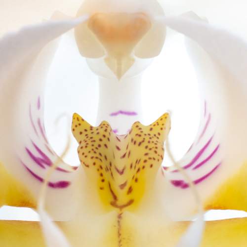 Photo #9997376