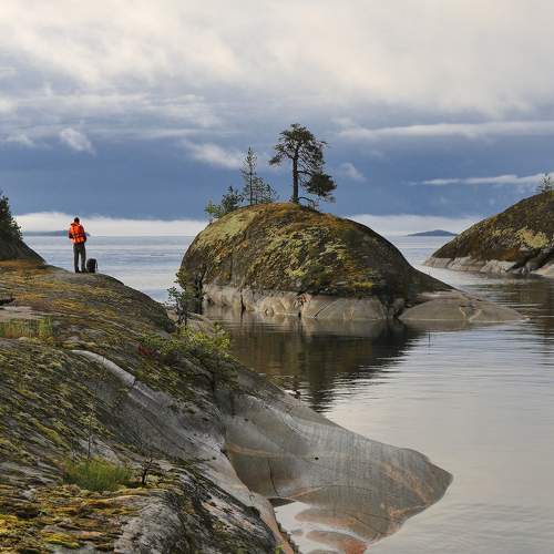 Photo #9997972