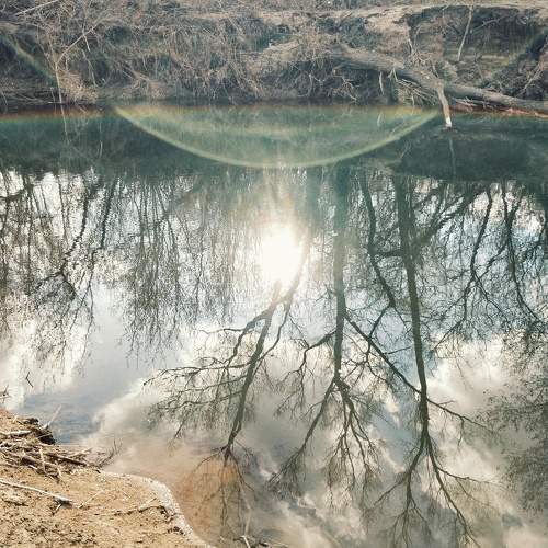 Photo #9998053