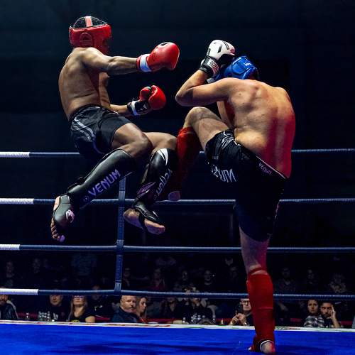 Photo #9998228
