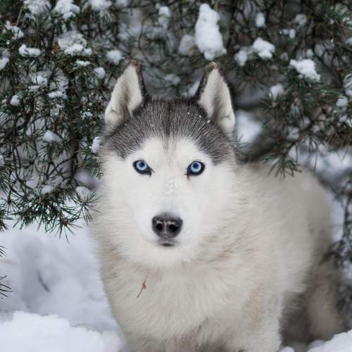 Photo #9998937