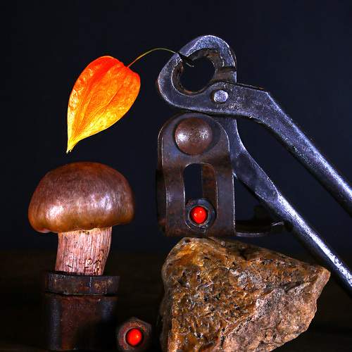 Photo #9999033
