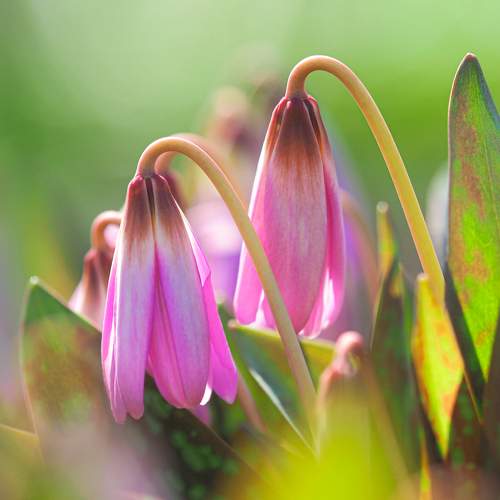 Photo #9999077