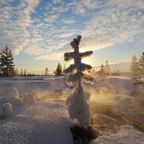 Photo #9999145