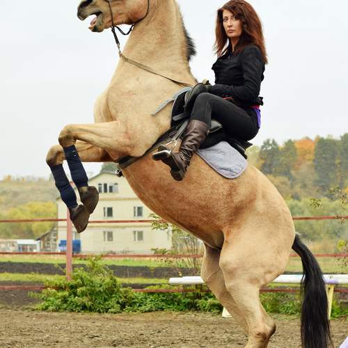 Photo #9999751