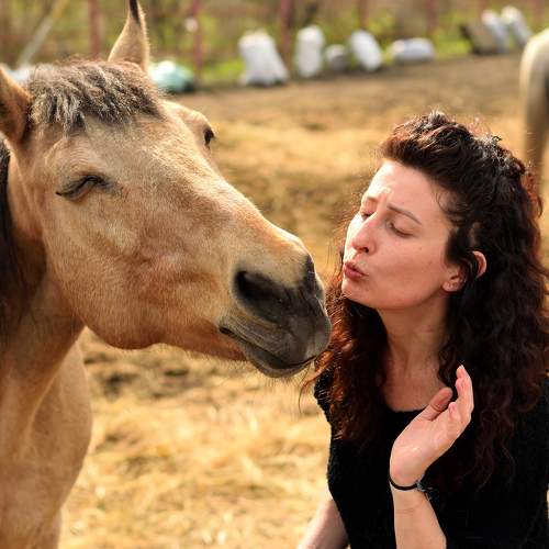 Photo #9999752
