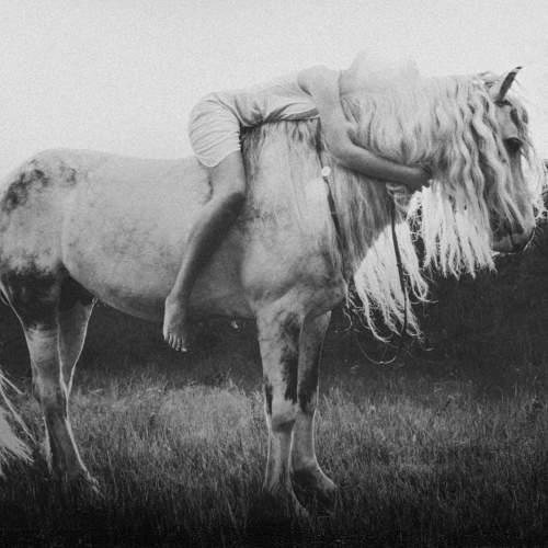 Photo #9999808