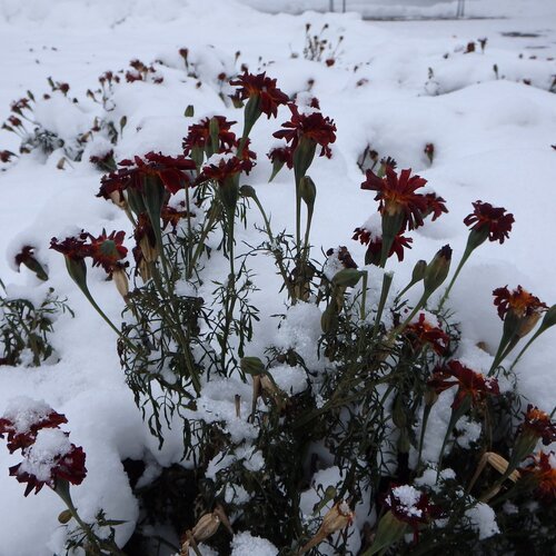 Photo #1000328