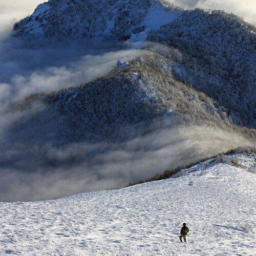 Завороженный