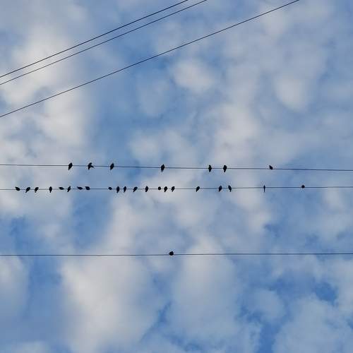 Photo #10000004