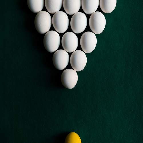 Photo #10000025