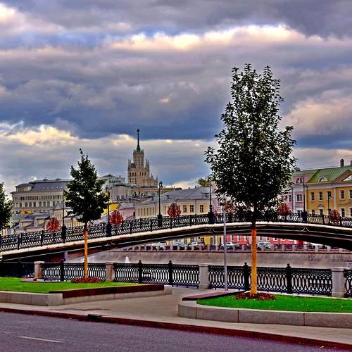Photo #10000706