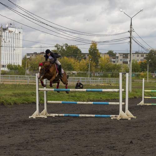 Photo #10000738