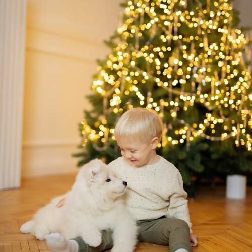 Photo #10000783