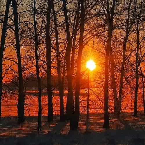 Photo #10000866