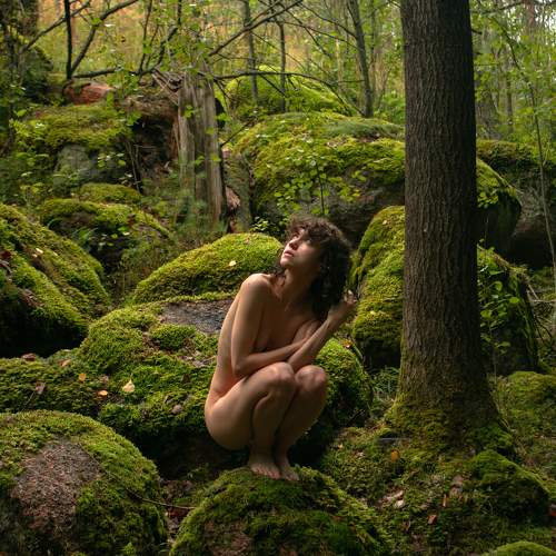 Dryad