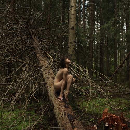 Dryad