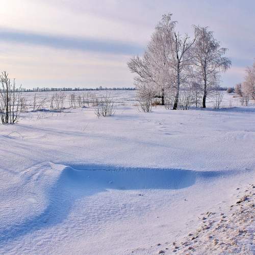 Photo #10001263