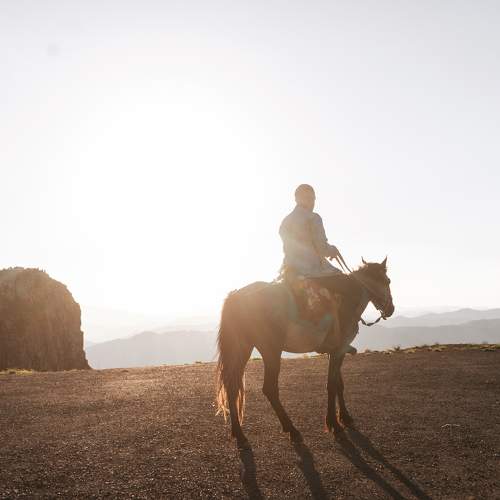 Photo #10001475