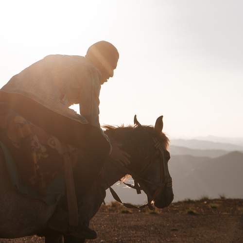 Photo #10001477