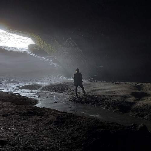 Photo #10001486