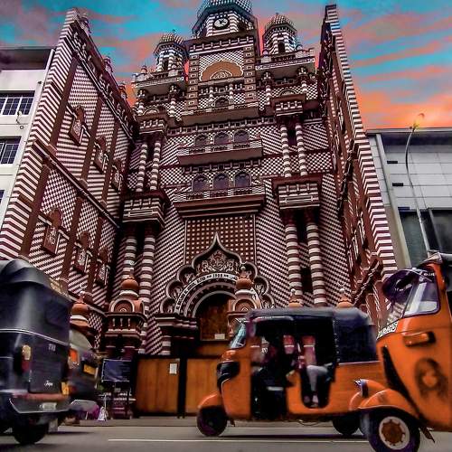 Photo #10001489