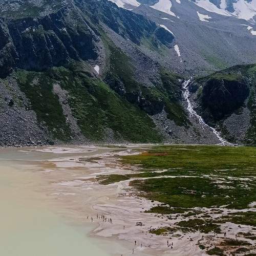 Photo #10001516