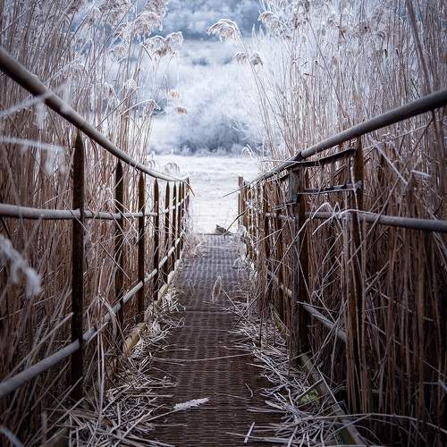 Photo #10001942