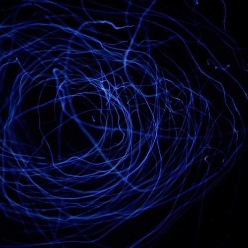Photo #10002048