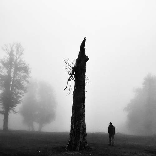 Photo #10002414