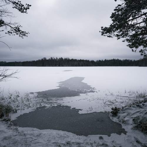 Photo #10002470