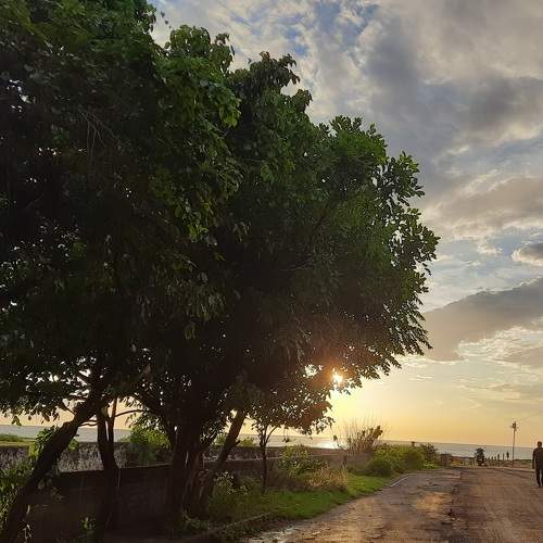Road to the sea