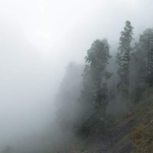 Photo #10003706