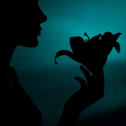 Photo #10003837