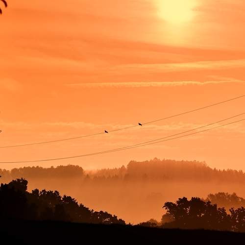 Photo #10004068