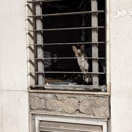 Photo #10004170